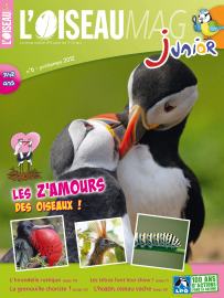 Couverture de l'OISEAU MAG JUNIOR n°6